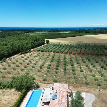 Villa Absolute Privacy Novigrad  ภายนอก รูปภาพ