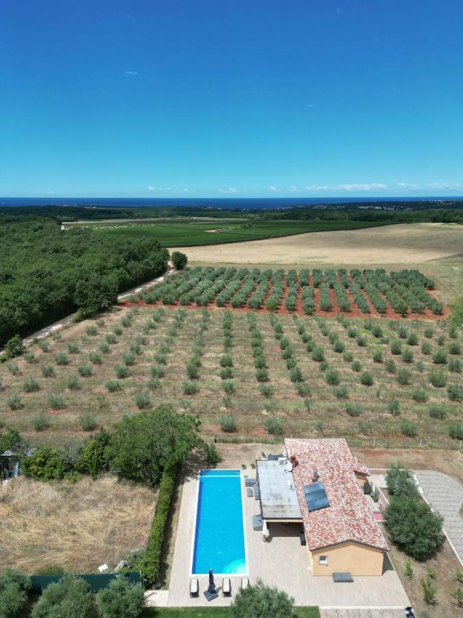 Villa Absolute Privacy Novigrad  ภายนอก รูปภาพ